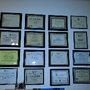 Photo of MLTMS - One World One Language