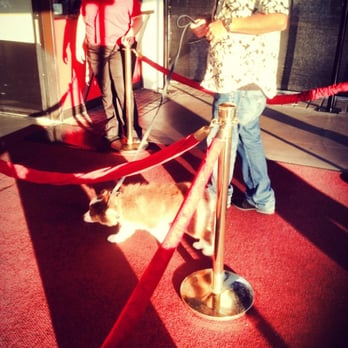 The Glory Days Historical Tour - Pet Friendly Red Carpet. - Tours Near Me - Long Beach, California The Glory Days Historical Tour - Pet Friendly Red Carpet. - Tours Near Me - Long Beach, California