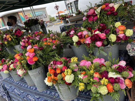 Arcata Plaza Farmers' Market by null