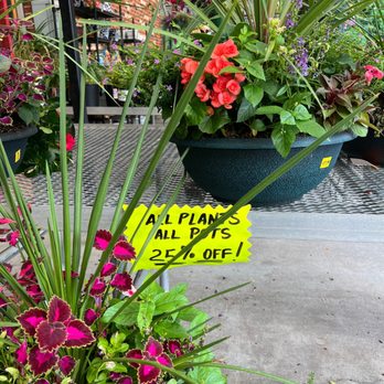Paul's Fruit Market - Potted plants and flowers on sale - Fruits & Veggies Near Me - Louisville, Kentucky Paul's Fruit Market - Potted plants and flowers on sale - Fruits & Veggies Near Me - Louisville, Kentucky