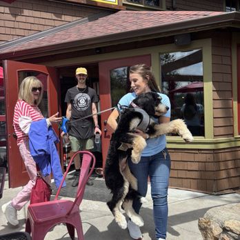 Lariat Lodge Brewing Company - Jackie carrying Bernie to our table on the patio at The Lariat Lodge Brewing CO. - Brewpubs Near Me - Evergreen, Colorado