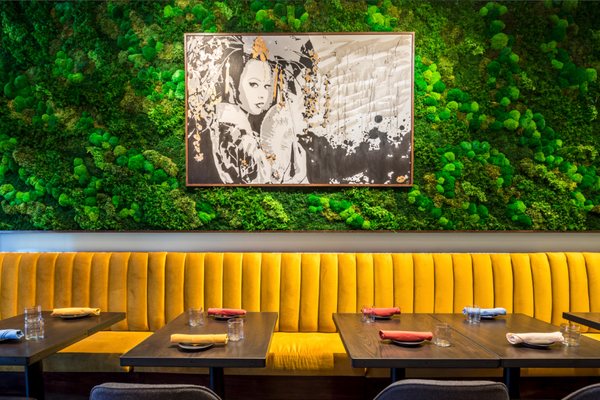 Kaiyo Cow Hollow by null