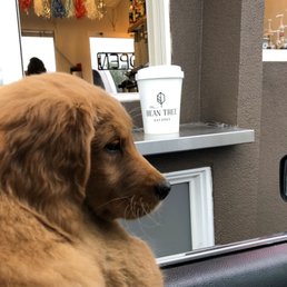 Waiting patiently!!!! This is his favorite place. Waiting patiently!!!! This is his favorite place.