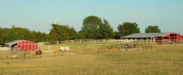 Shamrock Stables Logo