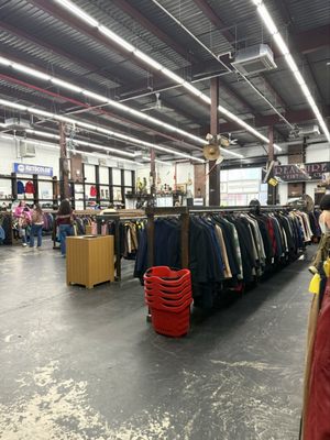 Urban Jungle by null