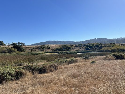 Tomales Bay Trailhead by null
