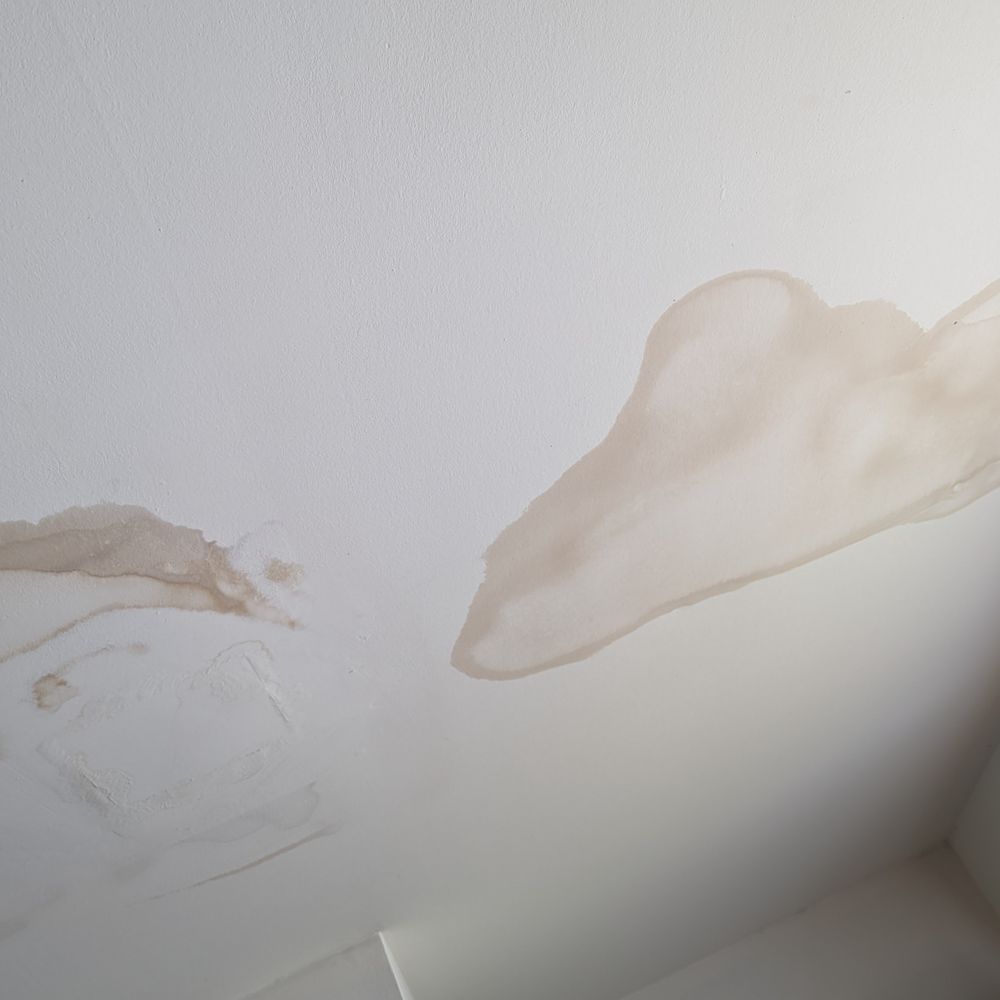 Liss Property Group - Water leak 5 feet x 4 feet . Need keep bucket during rain . Carpet gets wet - Real Estate Near Me Liss Property Group - Water leak 5 feet x 4 feet . Need keep bucket during rain . Carpet gets wet - Real Estate Near Me