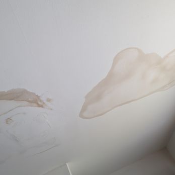 Liss Property Group - Water leak 5 feet x 4 feet . Need keep bucket during rain . Carpet gets wet - Real Estate Near Me Liss Property Group - Water leak 5 feet x 4 feet . Need keep bucket during rain . Carpet gets wet - Real Estate Near Me