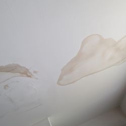 Liss Property Group - Water leak 5 feet x 4 feet . Need keep bucket during rain . Carpet gets wet