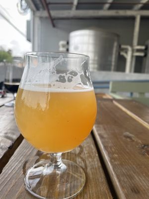 Skeeta Hawk Brewing by null