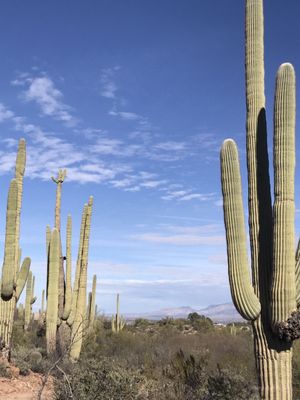 Sweetwater Preserve Trailhead by null