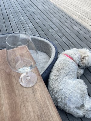 Day Wines by null
