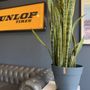 Photo of Adirondack Tire & Service