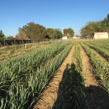 Holland Ranch - Fruits & Veggies Near Me - Palmdale, California