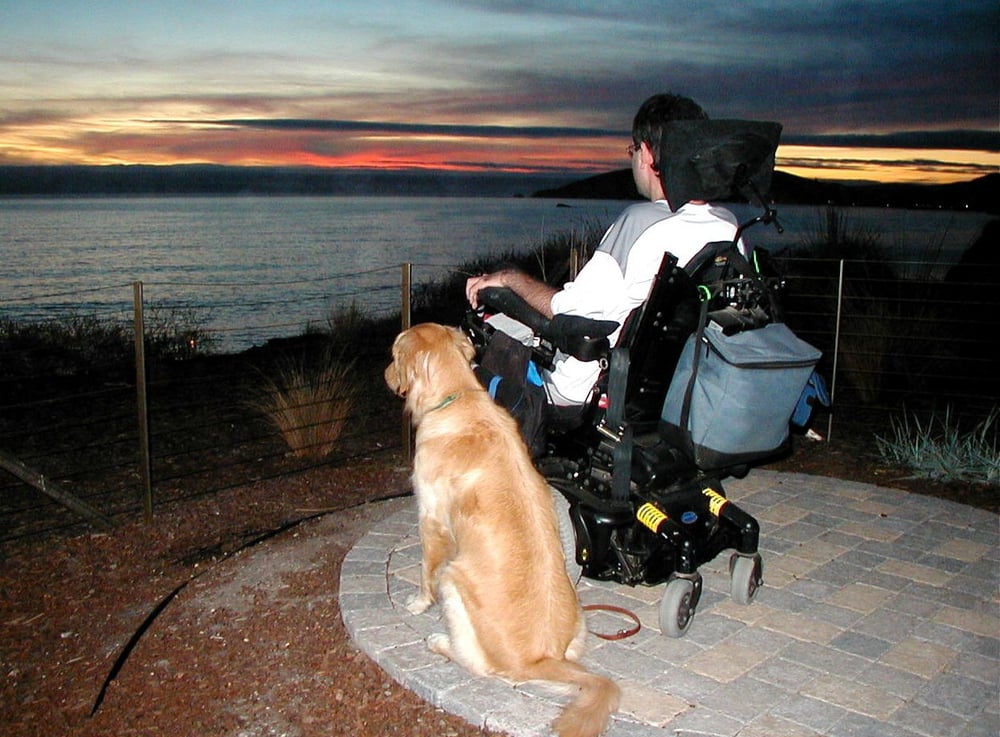 THE TEACHER’S PET Updated August 2024 Phoenix, Arizona Pet