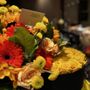 Photo of Blossom Flowers