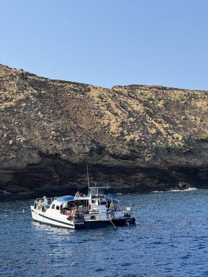 Four Winds Molokini Maui Snorkel Tour by null