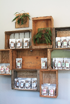 Urban Remedy by null