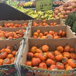 Fuyu persimmons in season Fuyu persimmons in season