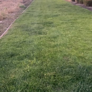 Motel 6 - Dog patch - Hotels Near Me - Lodi, California Motel 6 - Dog patch - Hotels Near Me - Lodi, California
