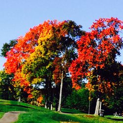 Franconia Golf Course