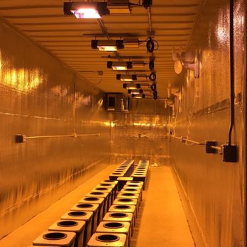 D R Electric - Custom grow.
100 amp sub panel, 220v lights, AC, Humidifier, convenient outlets and lights - Electricians Near Me D R Electric - Custom grow.
100 amp sub panel, 220v lights, AC, Humidifier, convenient outlets and lights - Electricians Near Me