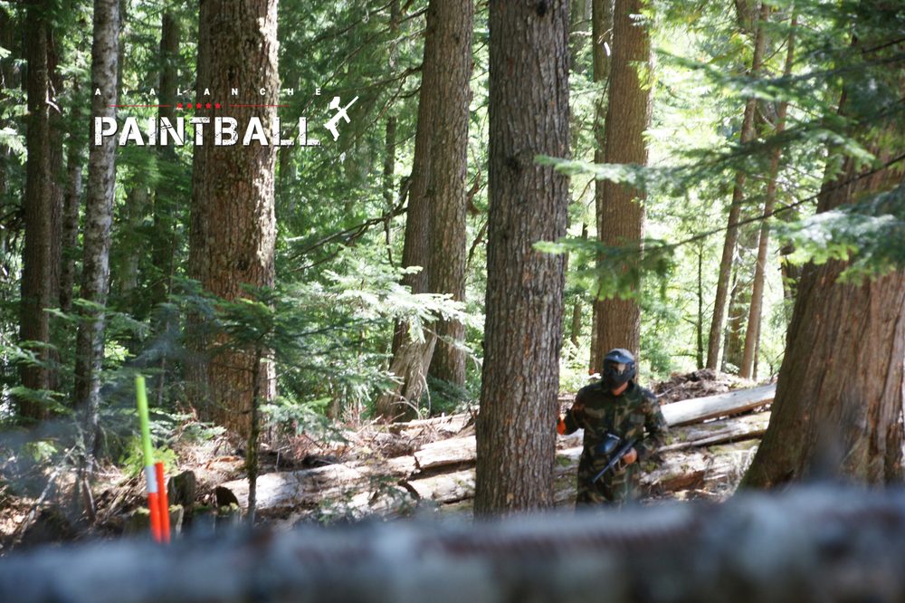 AVALANCHE PAINTBALL Updated September 2024 12 Photos 55 Highway