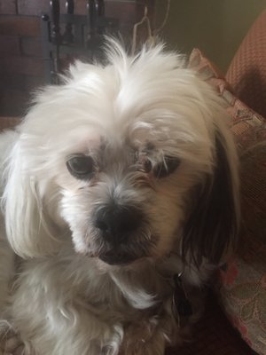 Crown Point License Branch 1244 N Main St Crown Point In Department Of Motor Vehicles Mapquest