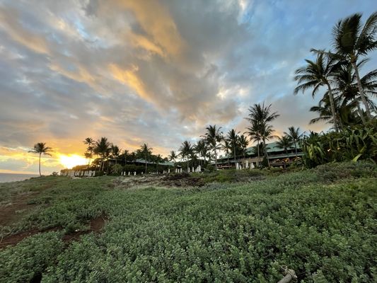 Four Seasons Resort Lanai by null