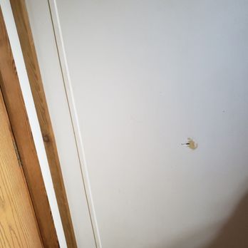 Auld Holland Inn - One of many holes in the janky walls - Hotels Near Me - Oak Harbor, Washington