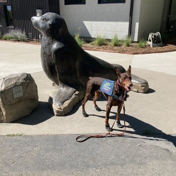 Blank Park Zoo - Lila posing with a statue - Zoos Near Me - Des Moines, Iowa Blank Park Zoo - Lila posing with a statue - Zoos Near Me - Des Moines, Iowa