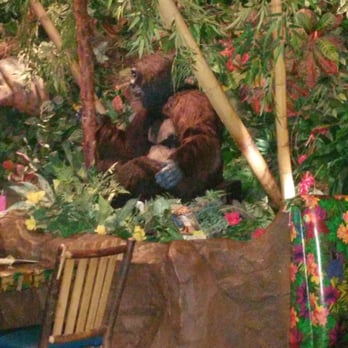 Rainforest Cafe - American Near Me - Edison, New Jersey Rainforest Cafe - American Near Me - Edison, New Jersey
