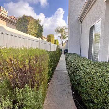 Xpert Landscape - BEFORE Side yard - Landscaping Near Me Xpert Landscape - BEFORE Side yard - Landscaping Near Me