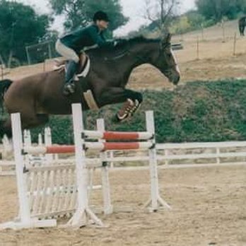 Angie Martin Lapinski Training Stable - Angie on Novelty - Horseback Riding Near Me - Malibu, California Angie Martin Lapinski Training Stable - Angie on Novelty - Horseback Riding Near Me - Malibu, California