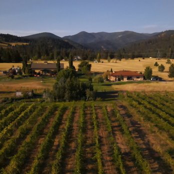 Ten Spoon Vineyard and Winery - aerial view of vineyard - Wineries Near Me - Missoula, Montana