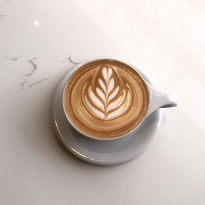 Cedar & Spokes Coffee by null