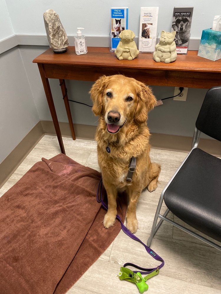 SHULER VETERINARY CLINIC Updated August 2024 24 Photos & 10 Reviews