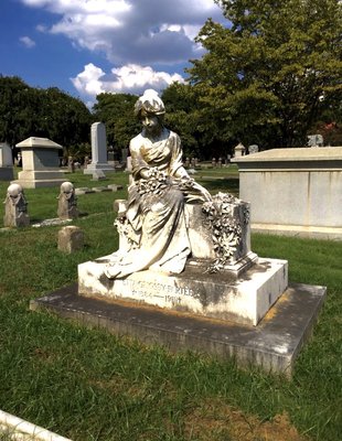 Elmwood Cemetery by null