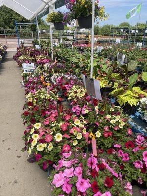 19th Avenue Farmer's Market by null