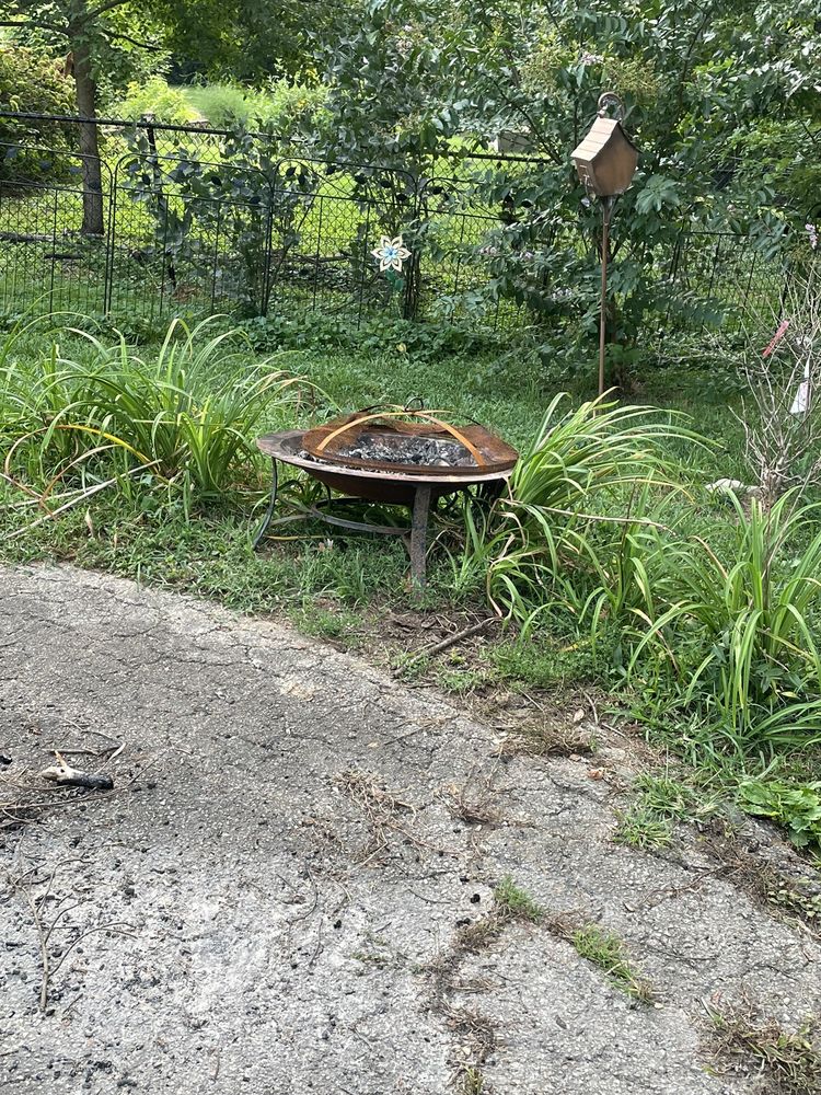 Top Quality Landscaping & Trees - tree service in Lexington, KY