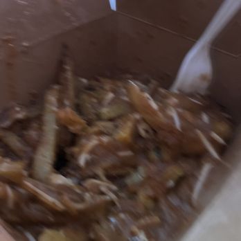 Copper Branch - Large poutine - Vegan Near Me - Brampton, Ontario