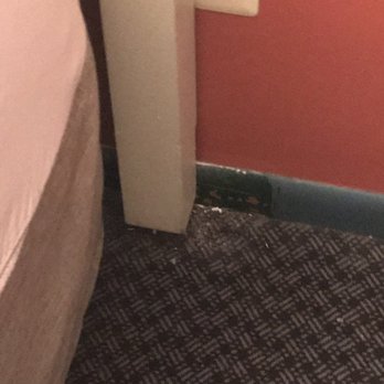 Ramada by Wyndham Flemington - After room service - Hotels Near Me - Flemington, New Jersey Ramada by Wyndham Flemington - After room service - Hotels Near Me - Flemington, New Jersey
