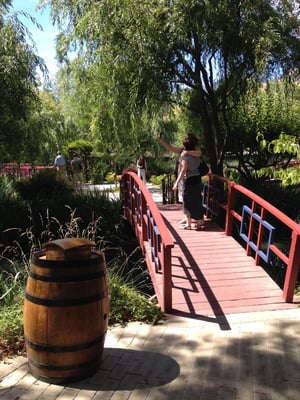 Savor Napa Valley Wine Tours by null