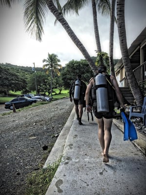Cane Bay Beach by null