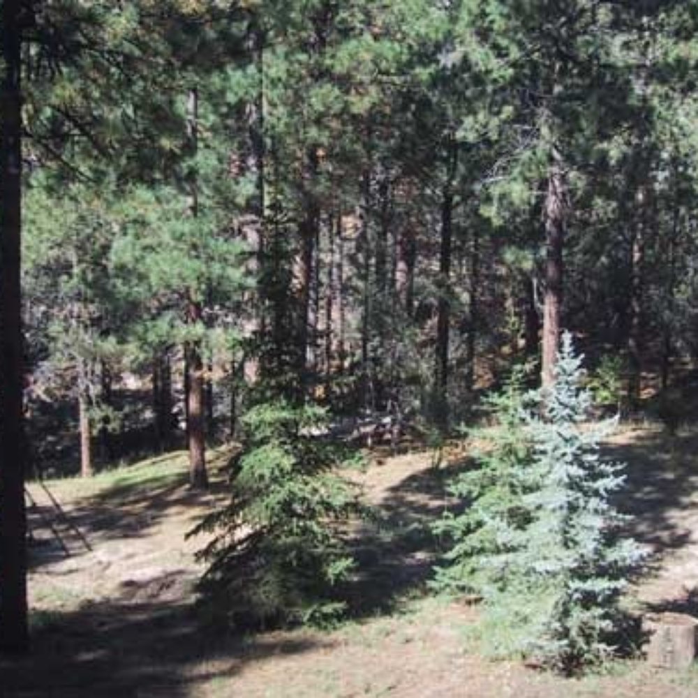 Starvation Flats Ranch - Vacation Rentals Near Me - Big Bear Lake, California Starvation Flats Ranch - Vacation Rentals Near Me - Big Bear Lake, California