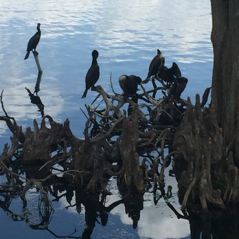 Lake Eola Park - Parks Near Me - Orlando, Florida