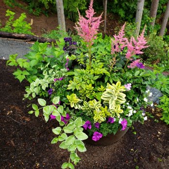 First Fruits Landscaping - container garden installation. - Lawn Services Near Me - Mukilteo, Washington First Fruits Landscaping - container garden installation. - Lawn Services Near Me - Mukilteo, Washington