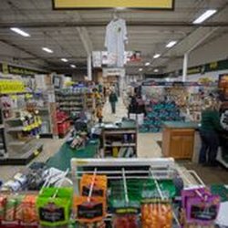 Ward Lumber