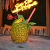Señor Rita's Tequilería & Margarita Factory gift card