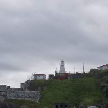 Iceberg Quest Ocean Tours - Tours Near Me - St John's, Newfoundland and Labrador Iceberg Quest Ocean Tours - Tours Near Me - St John's, Newfoundland and Labrador